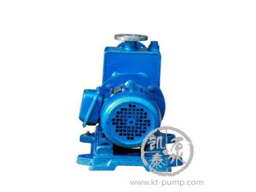 ZCQ自吸式磁力驅(qū)動泵